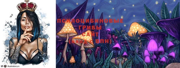 тгк Лагань