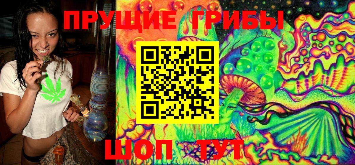 Псилоцибиновые грибы Magic Shrooms  как найти закладки  Нарткала  Псилоцибиновые грибы Magic Shrooms 