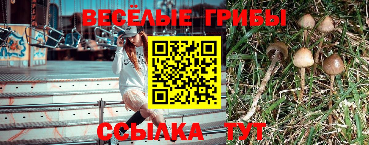 Галлюциногенные грибы Magic Shrooms Нарткала